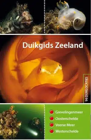 Duikgids Zeeland